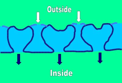 wall structure and canalization