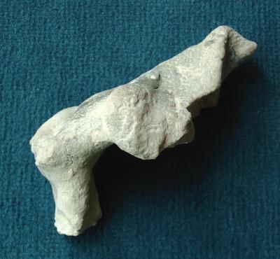 Locality: Alemannia, H&ouml;ver
Width: 120 mm