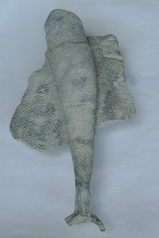 Locality: Teutonia, Misburg
Height: 340 mm
Width: 65 mm