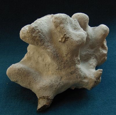 Locality: Teutonia, Misburg
Height: 190 mm