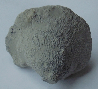 Locality: Teutonia, Misburg
underside
Width : 75 mm