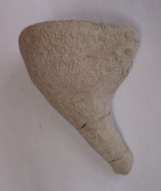 Locality: Teutonia, Misburg
underside
Height : 100 mm