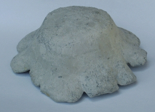 Locality. Teutonia, Misburg
Height: 45 mm