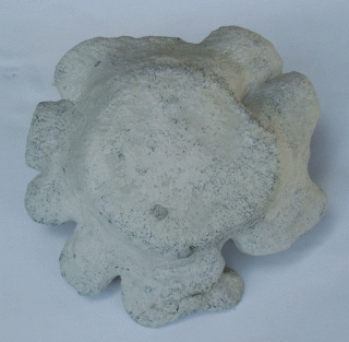 Locality. Teutonia, Misburg
top view
Width: 105 mm