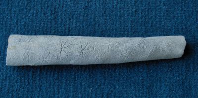 Locality. Teutonia, Misburg
Length: 90 mm