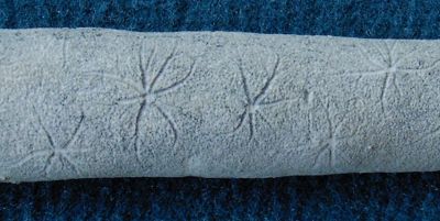 Locality. Teutonia, Misburg
Enlargement