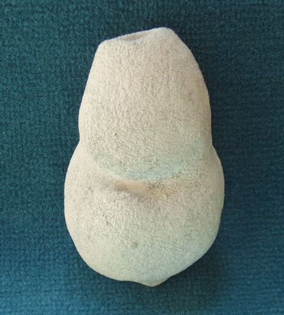 Locality: Teutonia, Misburg. Diameter: 100 mm Locality: Teutonia, Misburg
Diameter: 100 mm
