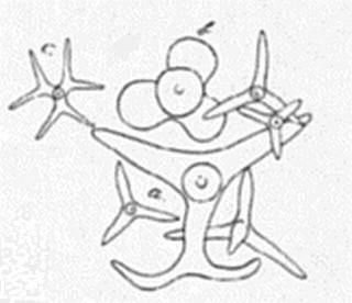 From Schrammen, 1910