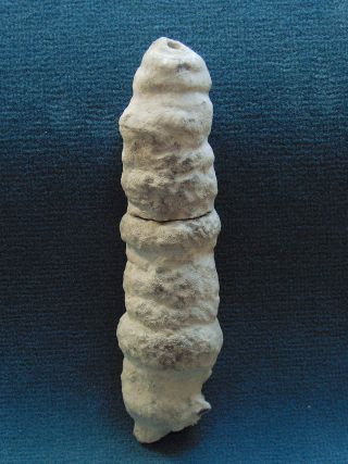 Locality:  Teutonia, Misburg
Height: 200 mm