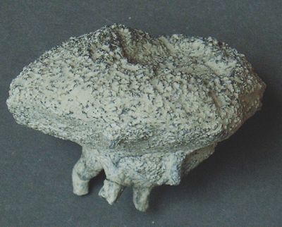 Locality. Teutonia, Misburg
Width: 55 mm