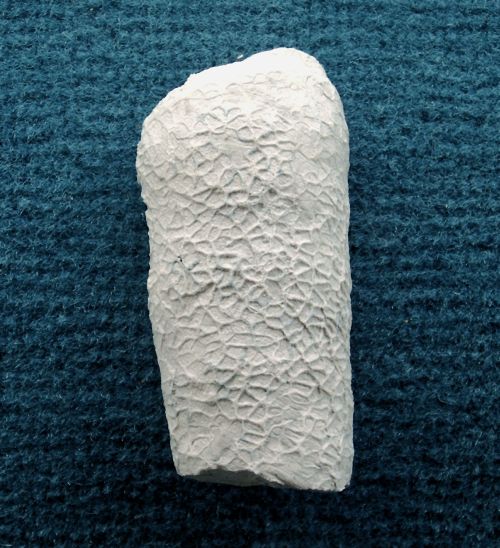 Locality: Alemannia, Höver
Height: 60 mm