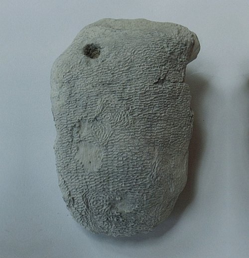 Locality: Teutonia, Misburg
Width: 80 mm