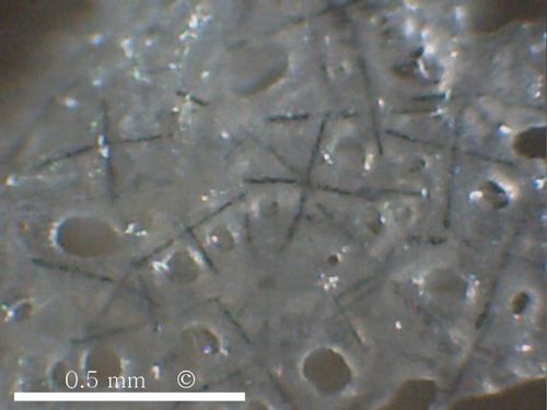 Locality: Alemannia, Höver