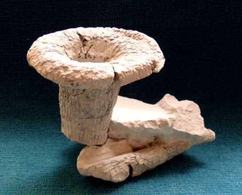 Locality: Teutonia, Misburg
Height: 80 mm