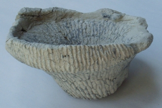 Locality: Teutonia, Misburg
Diameter: 100 mm