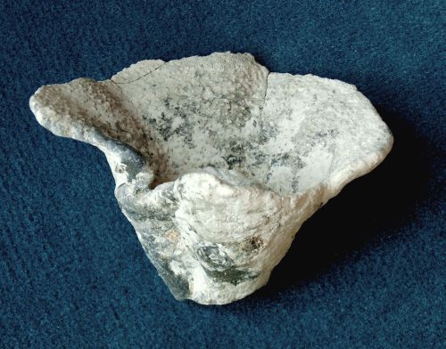 Locality: Teutonia, Misburg. Width: 100 mm