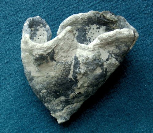 Locality: Teutonia, Misburg
Height: 80 mm