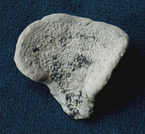 Locality: Teutonia, Misburg
Width: 60 mm